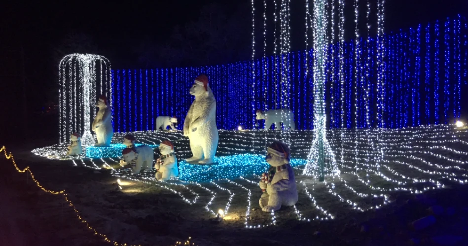 10 Best Christmas and Holiday Attractions in Houston
