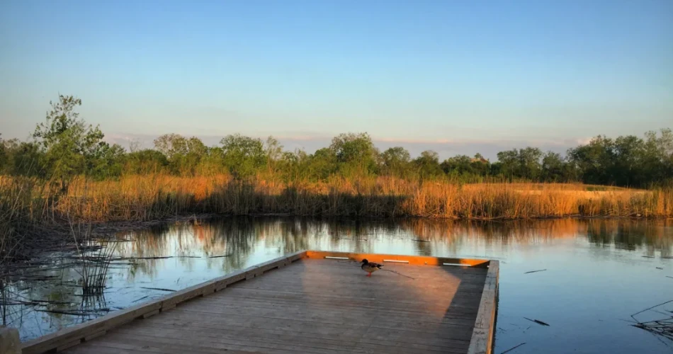 10 Best Parks and Outdoor Places in Houston